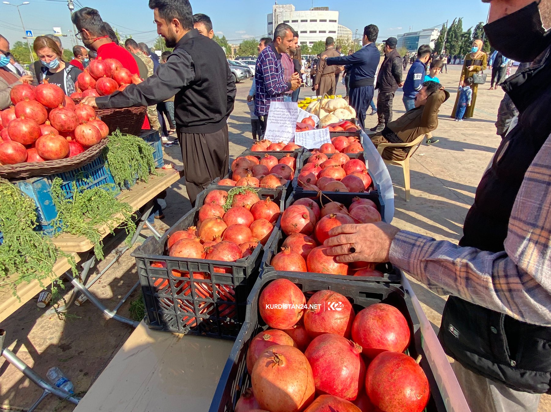 Boxes of locally produced pomegrantes, mainly from Halabja province, are shown to visitors, Nov. 15, 2020. (Photo: Kurdistan 24/Renas Ali)